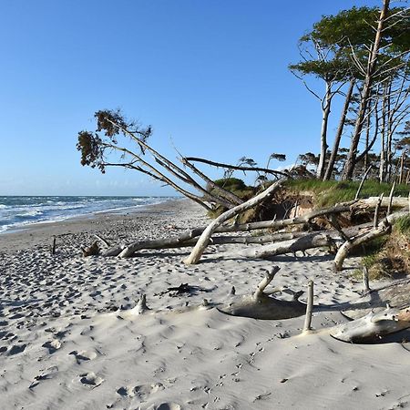זינקסט Strandhafer An Der Seebruecke מראה חיצוני תמונה